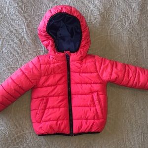 Toddler Puffy Jacket